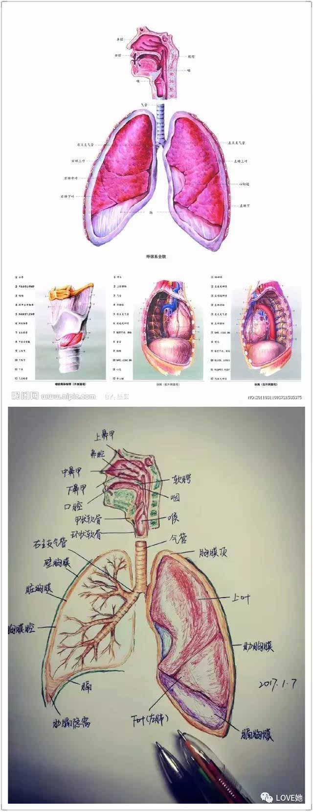 澳门十大赌博正规官网